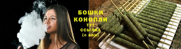 трава Наволоки
