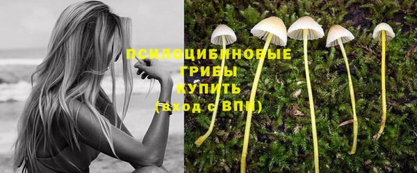 трава Наволоки