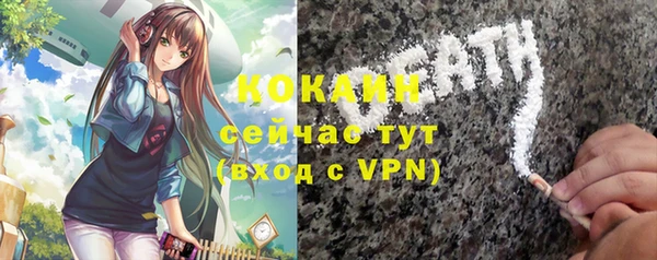 трава Наволоки