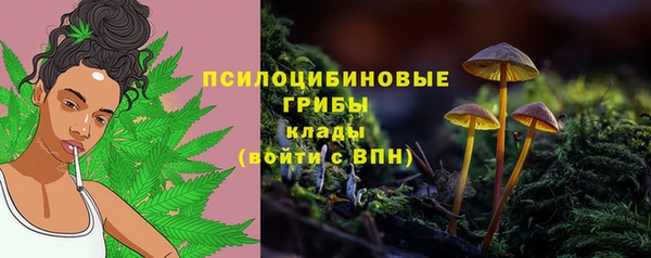 таблы Надым
