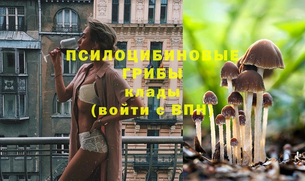 таблы Надым