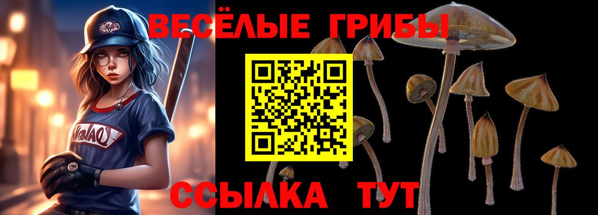 Галлюциногенные грибы мухоморы Балахна
