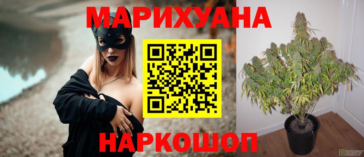 Шишки марихуана план  Вход с VPN  Каннабис AK-47  Бошки Шишки семена  Балахна 